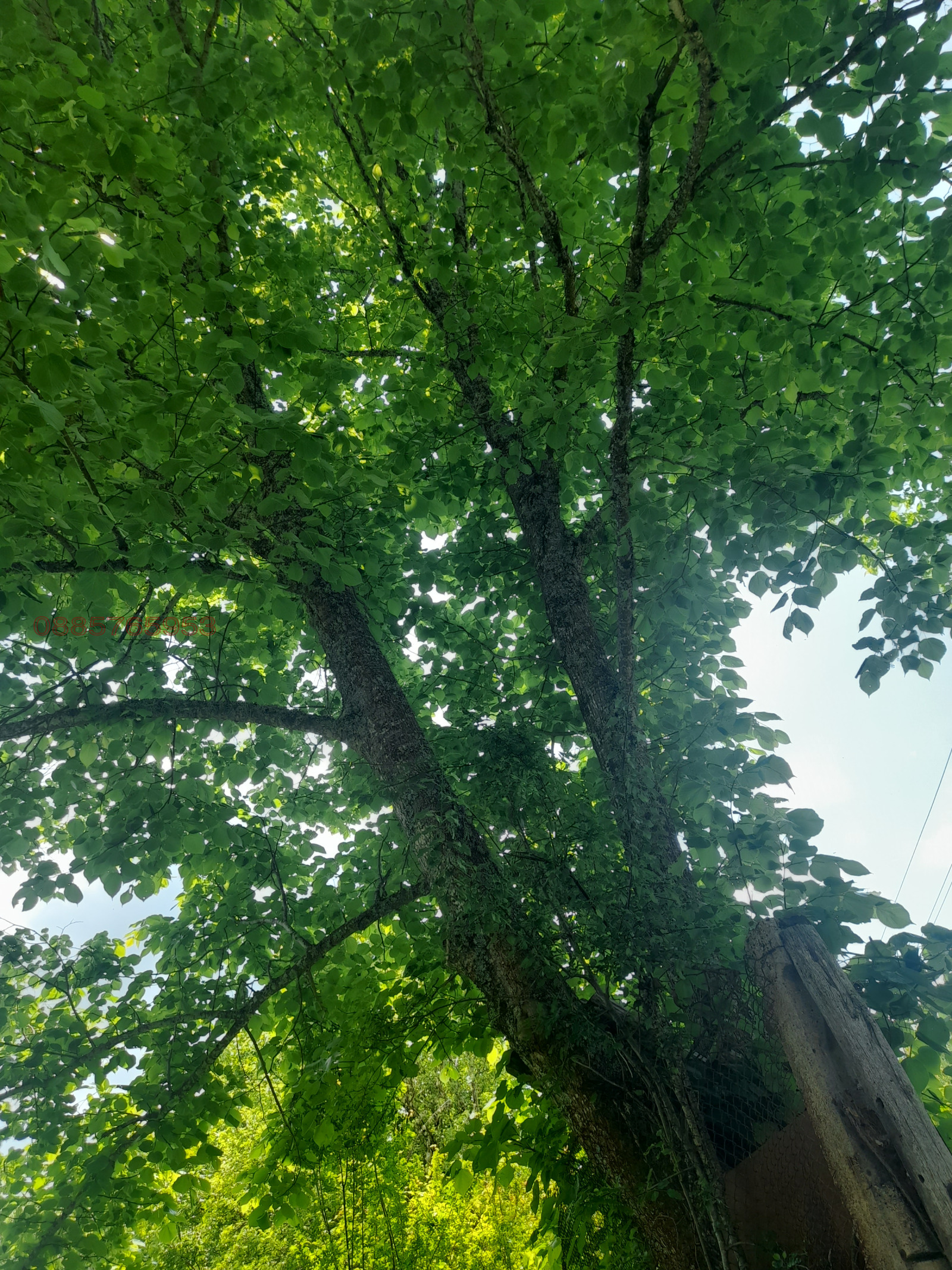 Продава КЪЩА | Imot.bg — изображение 7