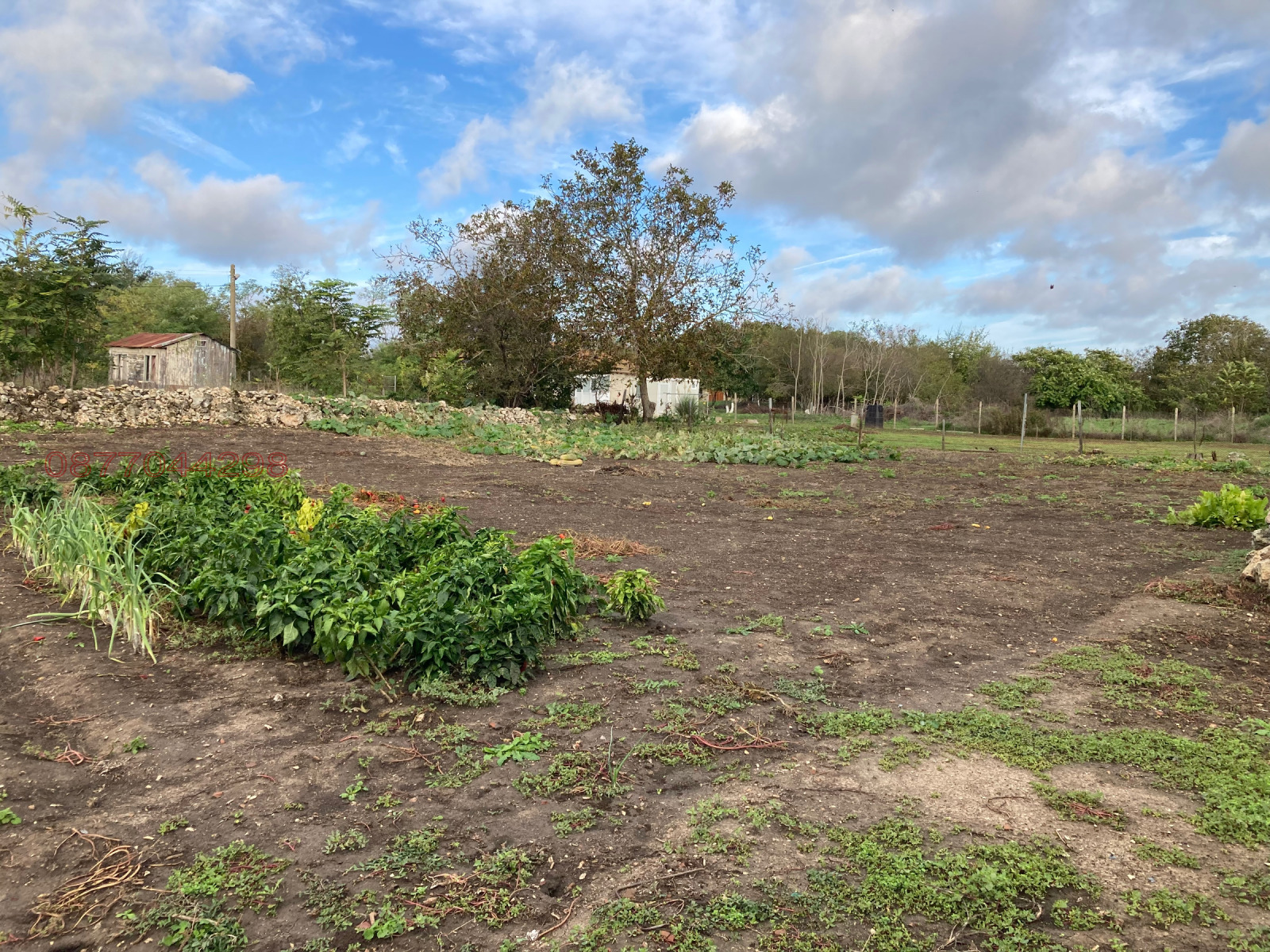 Продава ПАРЦЕЛ | Imot.bg — изображение 6