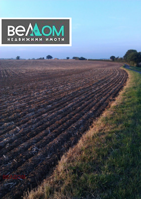 ����� ������� ���������� ����,��. ��������, ������ �����