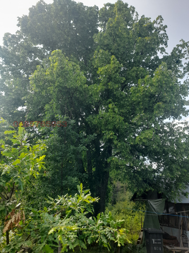 Продава КЪЩА, с. Добри дол, област Кюстендил, снимка 9 - Къщи - 52785847