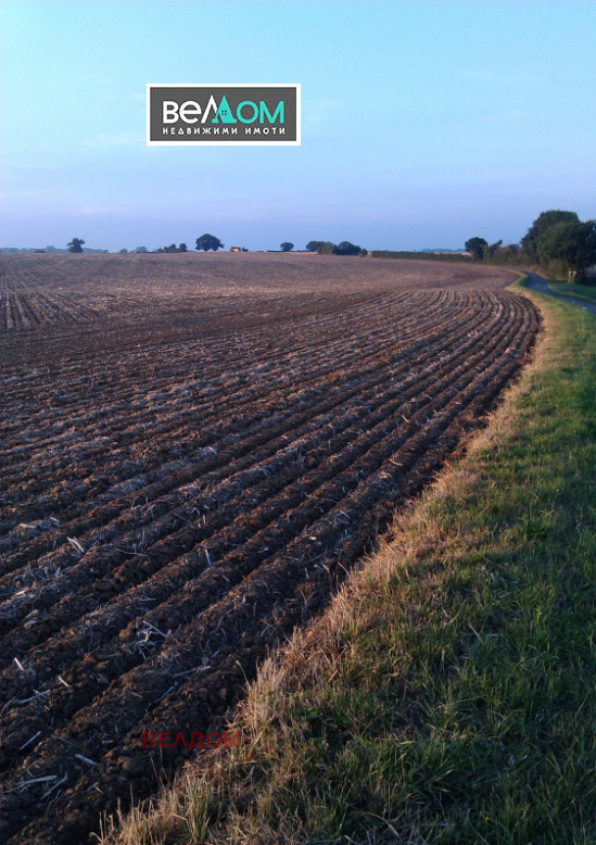 Продава ЗЕМЕДЕЛСКА ЗЕМЯ, гр. Суворово, област Варна