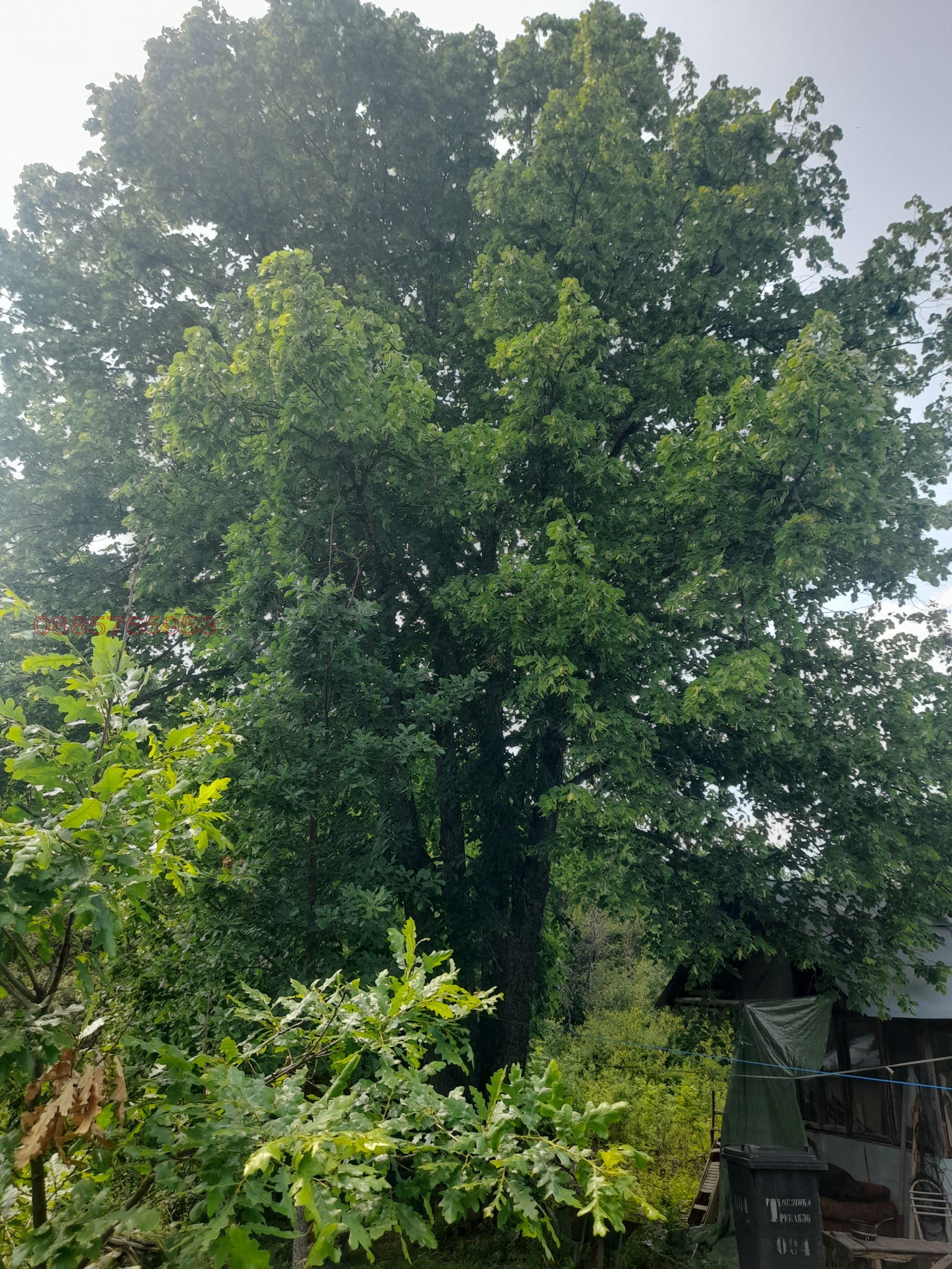 Продава КЪЩА, с. Добри дол, област Кюстендил, снимка 9 - Къщи - 53992164