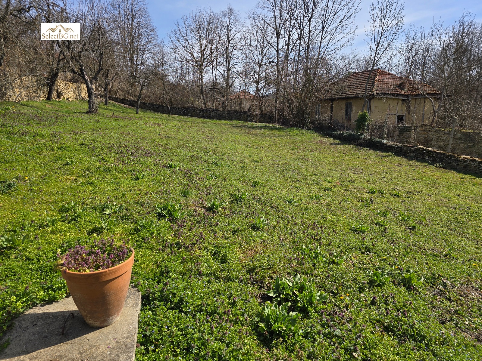 ������� ���� | Imot.bg � ����������� 7