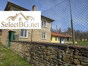 ������ ������� ����