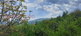 ������� ���� | Imot.bg � ����� ������ 12