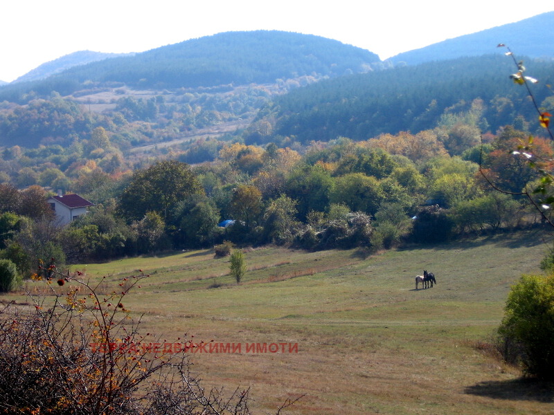 ������� ������ | Imot.bg � ����������� 5
