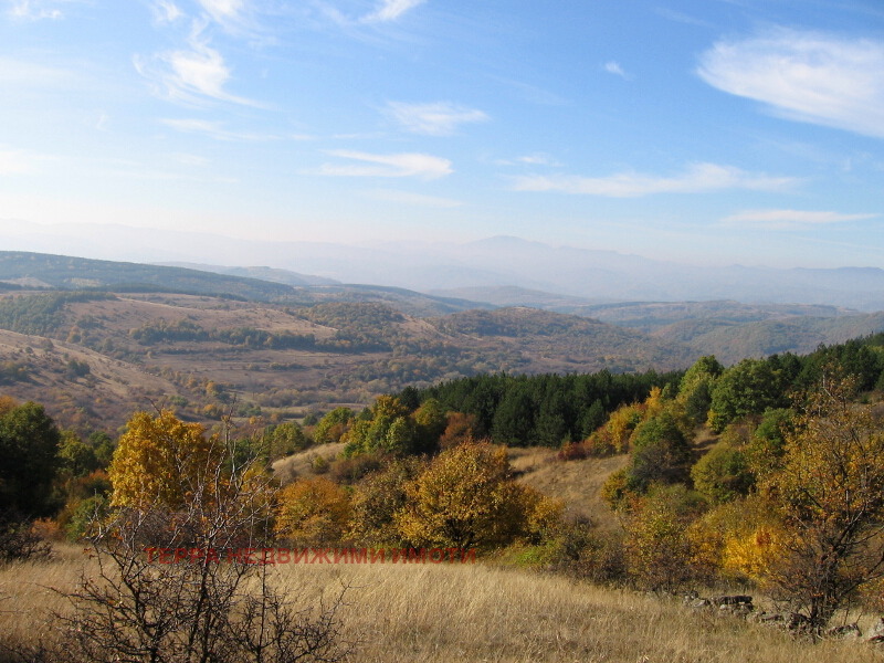 ������� ������ | Imot.bg � ����������� 2