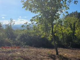 ������� ������ | Imot.bg � ����� ������ 7