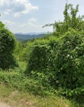 Продава ПАРЦЕЛ, с. Балабанско, област Ловеч, снимка 1