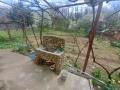 Продава КЪЩА, област Плевен, с. Еница • 45000 € / 88012.35 лв. • 33932228 5