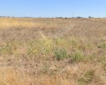 Продава ПАРЦЕЛ, област Бургас, с. Росен • 50000 € • 24841319 — Holmes.bg