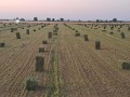 Продава  Земеделска земя област Силистра , гр. Силистра , 102 дка | 82652753 - изображение [3]