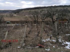 Продажба на имоти в с. Богдан, област Добрич - изображение 5 
