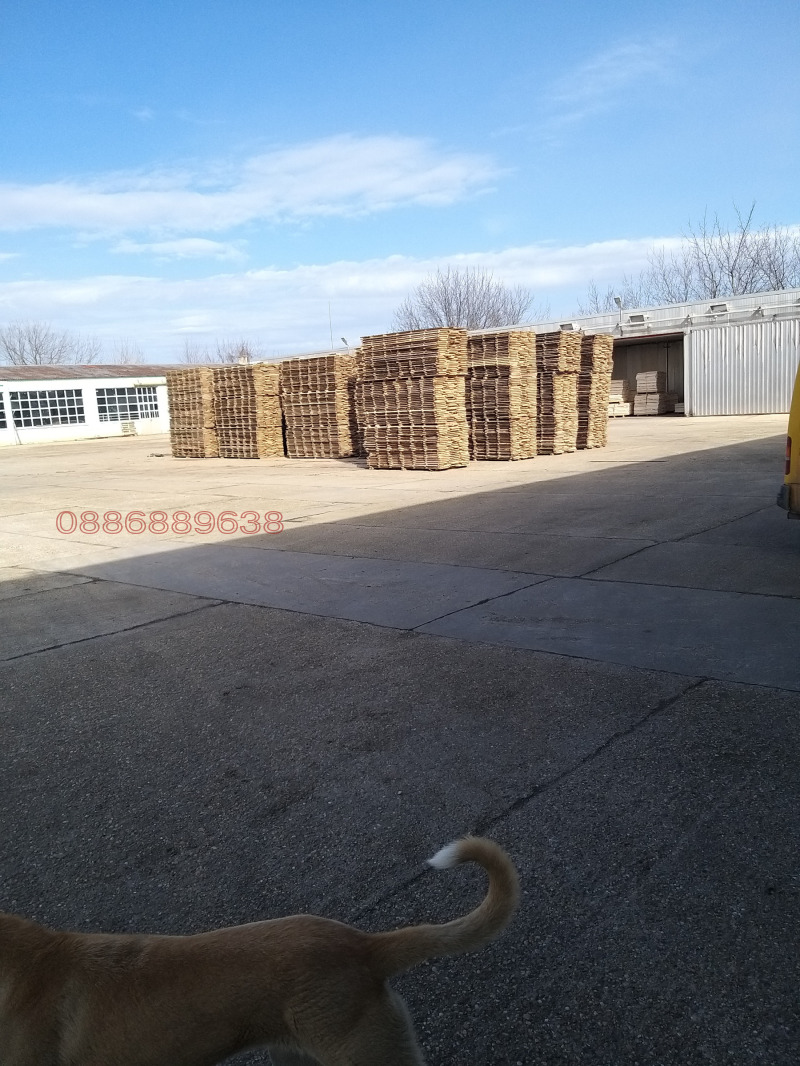 Продава БИЗНЕС ИМОТ, с. Ситово, област Силистра, снимка 5 - Други - 52786479