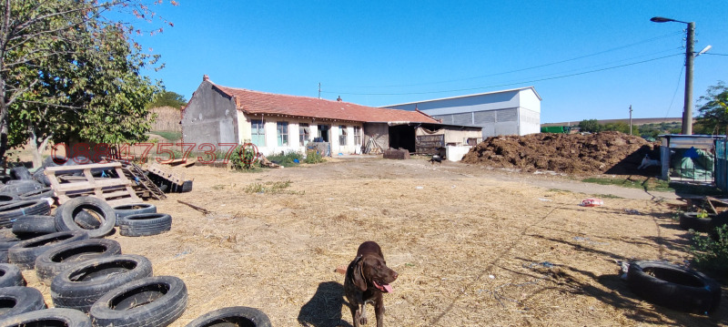 Продава ПРОМ. ПОМЕЩЕНИЕ, с. Юделник, област Русе, снимка 13 - Производствени сгради - 52780531