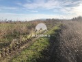Продава ПАРЦЕЛ, с. Рогачево, област Добрич, снимка 6