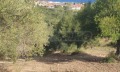 Продава ПАРЦЕЛ, Извън страната, област Извън страната, снимка 2