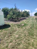 Продава ЗЕМЕДЕЛСКА ЗЕМЯ, с. Кичево, област Варна, снимка 3