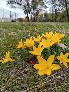 ������� ���� | Imot.bg � ����� ������ 11