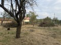 Продава ПАРЦЕЛ, област Велико Търново, с. Чакали • 42000 лв. / 21474.26 € • 44373140 4
