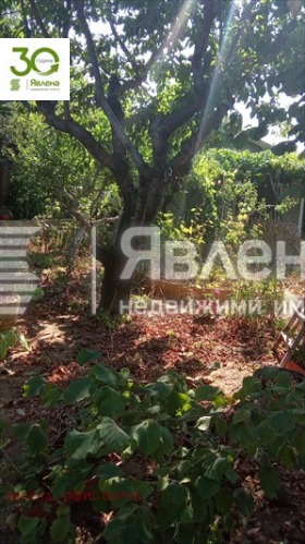 ����� ������� ����,���� �����, �-� ������� - ��