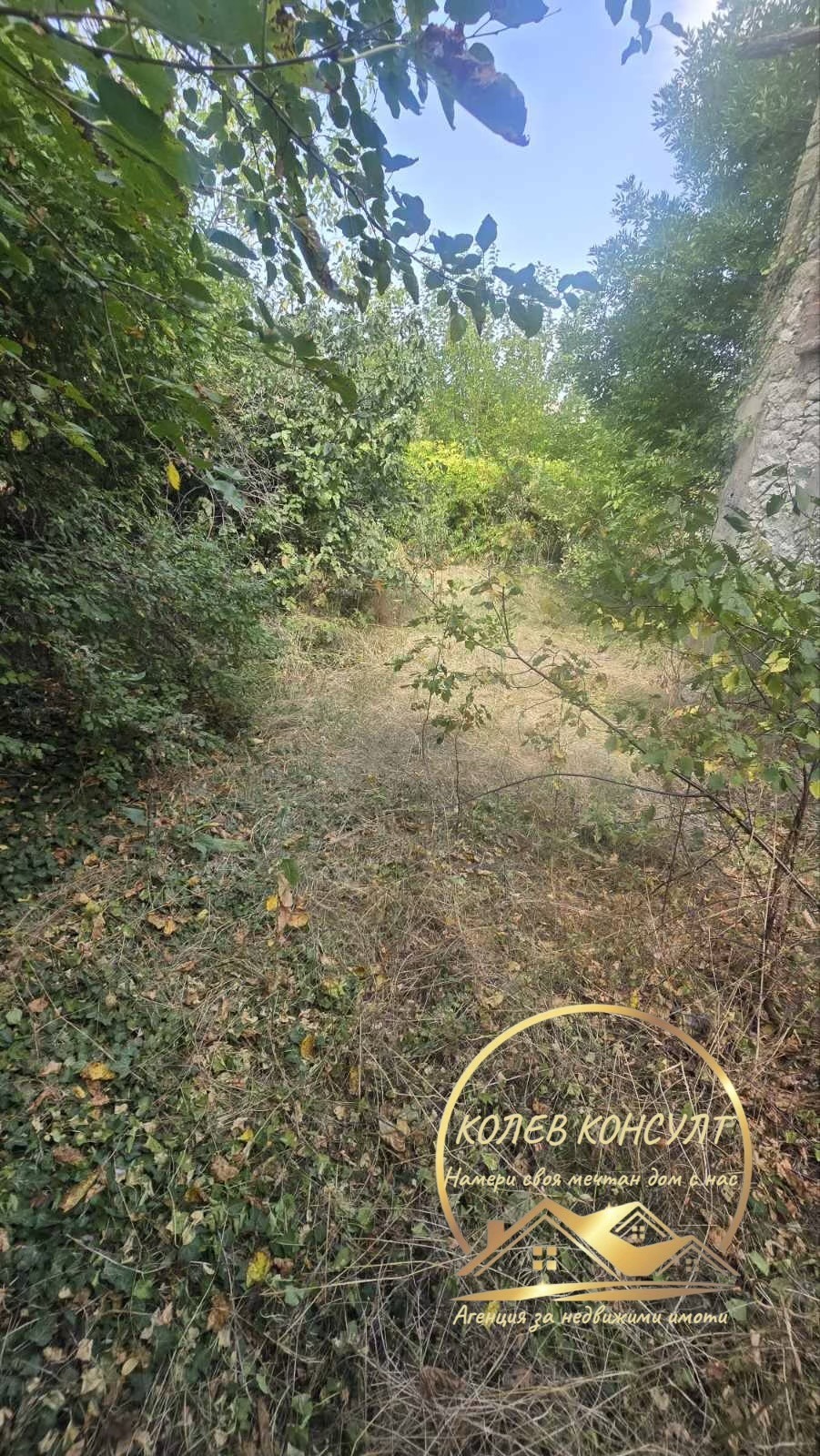 Продава КЪЩА, гр. Димитровград, област Хасково, снимка 2 - Къщи - 56077125
