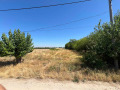 Продава ПАРЦЕЛ, област Пловдив, с. Цалапица • 108500 € • 60350584 — Holmes.bg
