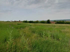 Plott Ravnets, Burgas