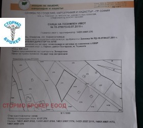 ������ ������� ������