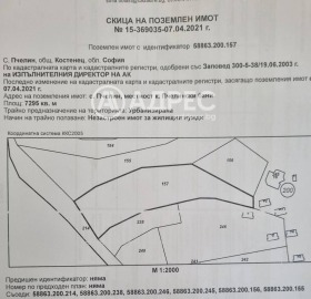 ������ ������� ������