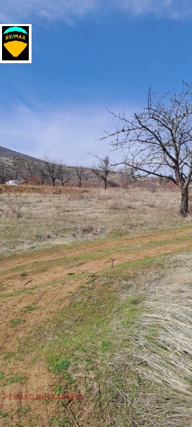 Land Kuklen, region Plovdiv 5