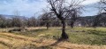 Продава ПАРЦЕЛ, гр. Троян, област Ловеч, снимка 6