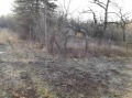 Продава ПАРЦЕЛ, гр. София, с. Герман, снимка 2