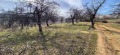 Продава ПАРЦЕЛ, област Ловеч, гр. Троян • 26000 € • 17224676 — Holmes.bg
