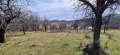 Продава ПАРЦЕЛ, област Ловеч, гр. Троян • 26000 € • 17224676 — Holmes.bg