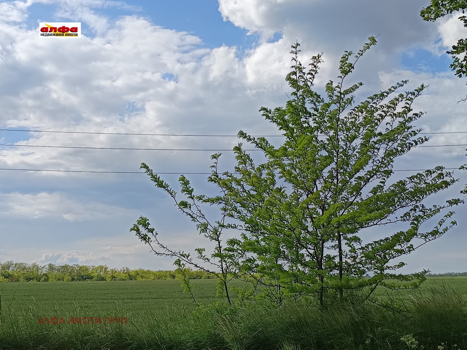 ������� ������ | Imot.bg � ����������� 5