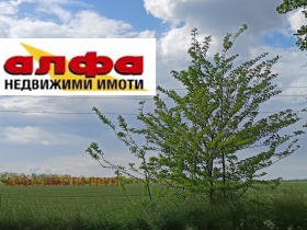   | Imot.bg    5
