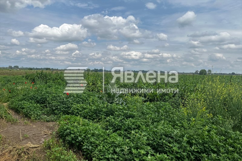 Продава ПАРЦЕЛ, с. Кадиево, област Пловдив, снимка 3 - Парцели - 48503185