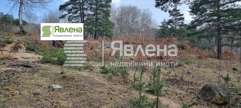 Продава  Парцел град София , с. Владая , 1618 кв.м | 90193695 - изображение [5]