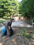 Продава КЪЩА, град Варна, м-т Прибой • 82000 € • 91965751 — Holmes.bg