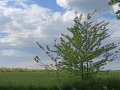 Продава ПАРЦЕЛ, град Добрич, Промишлена зона - Север • 180000 € • 81894460 — Holmes.bg