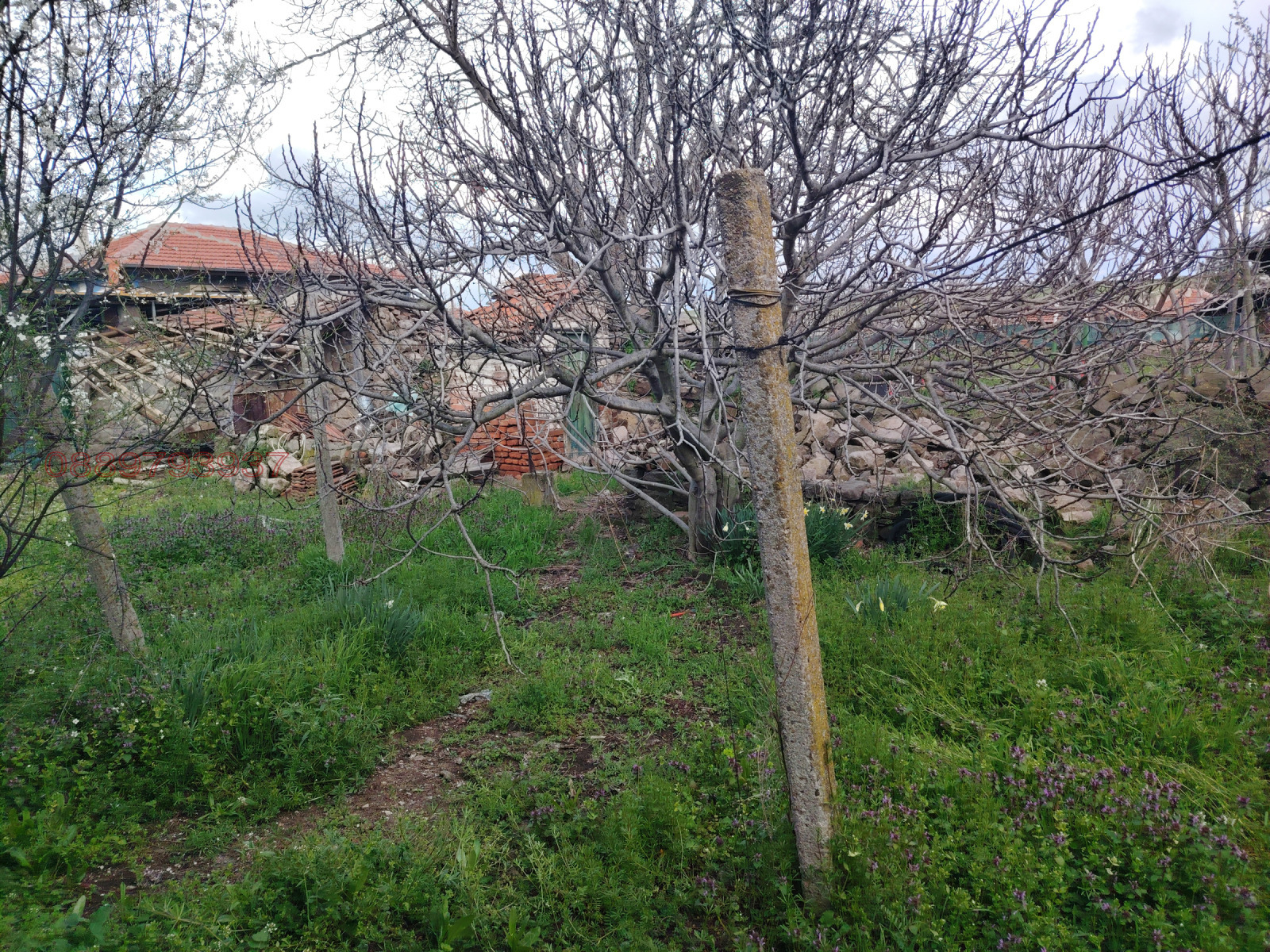 Продава КЪЩА, гр. Димитровград, област Хасково, снимка 3 - Къщи - 55229589