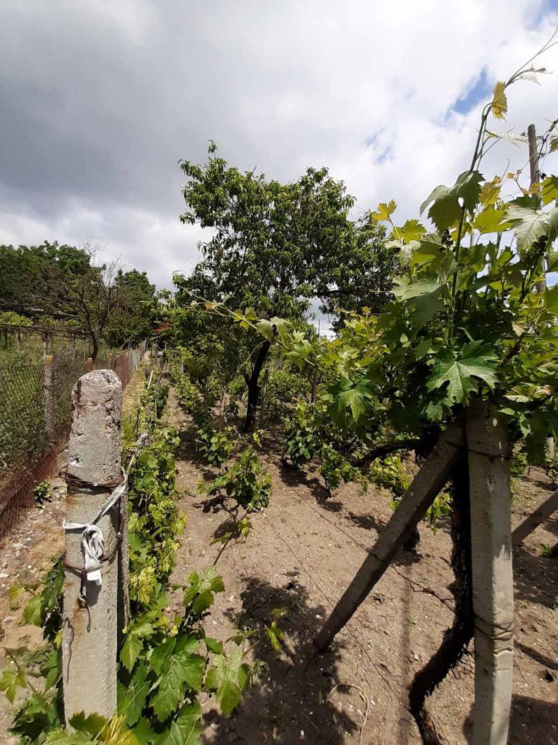 ������� ���� | Imot.bg � ����������� 6