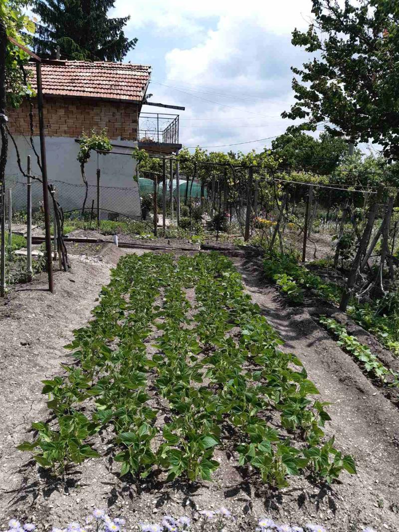 ������� ���� | Imot.bg � ����������� 9