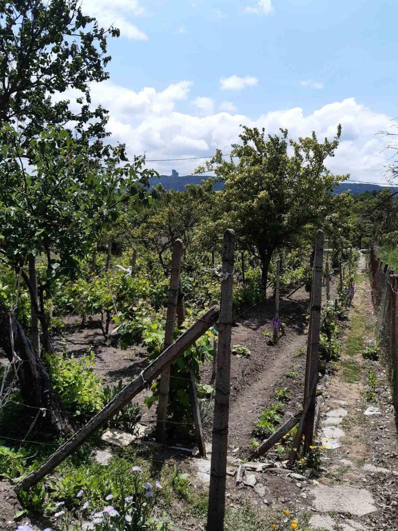 ������� ���� | Imot.bg � ����������� 7