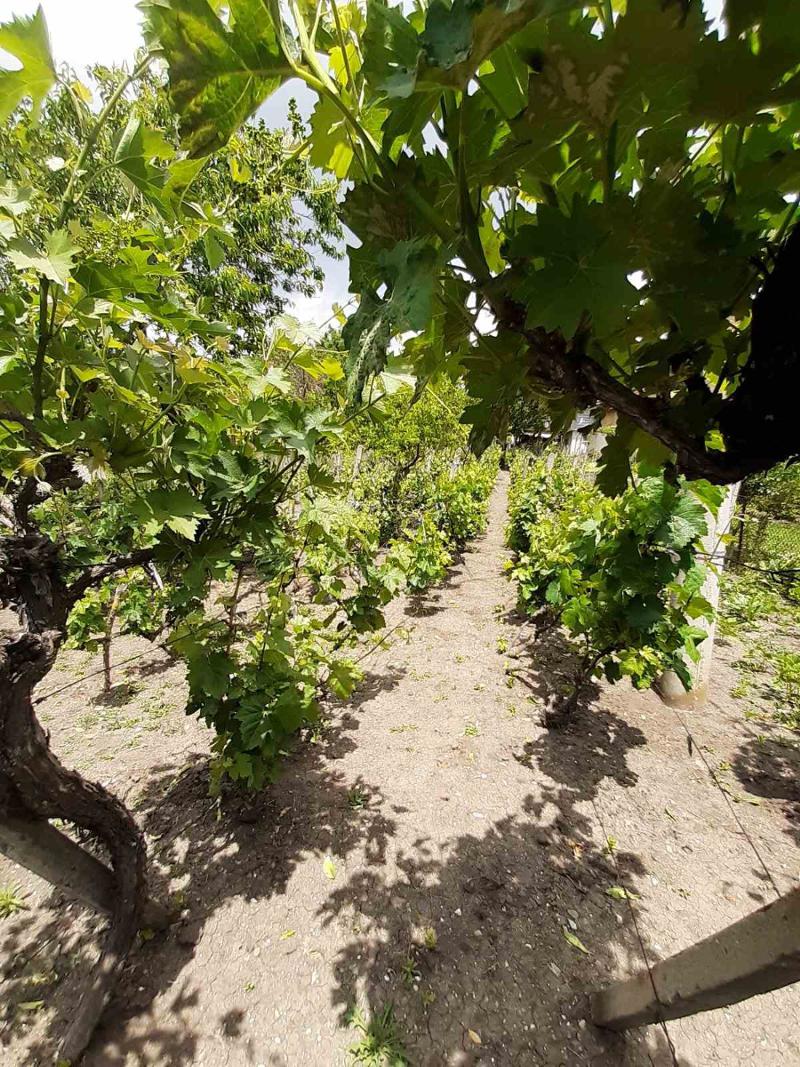 ������� ���� | Imot.bg � ����������� 4