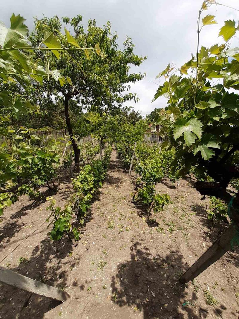 ������� ���� | Imot.bg � ����������� 3