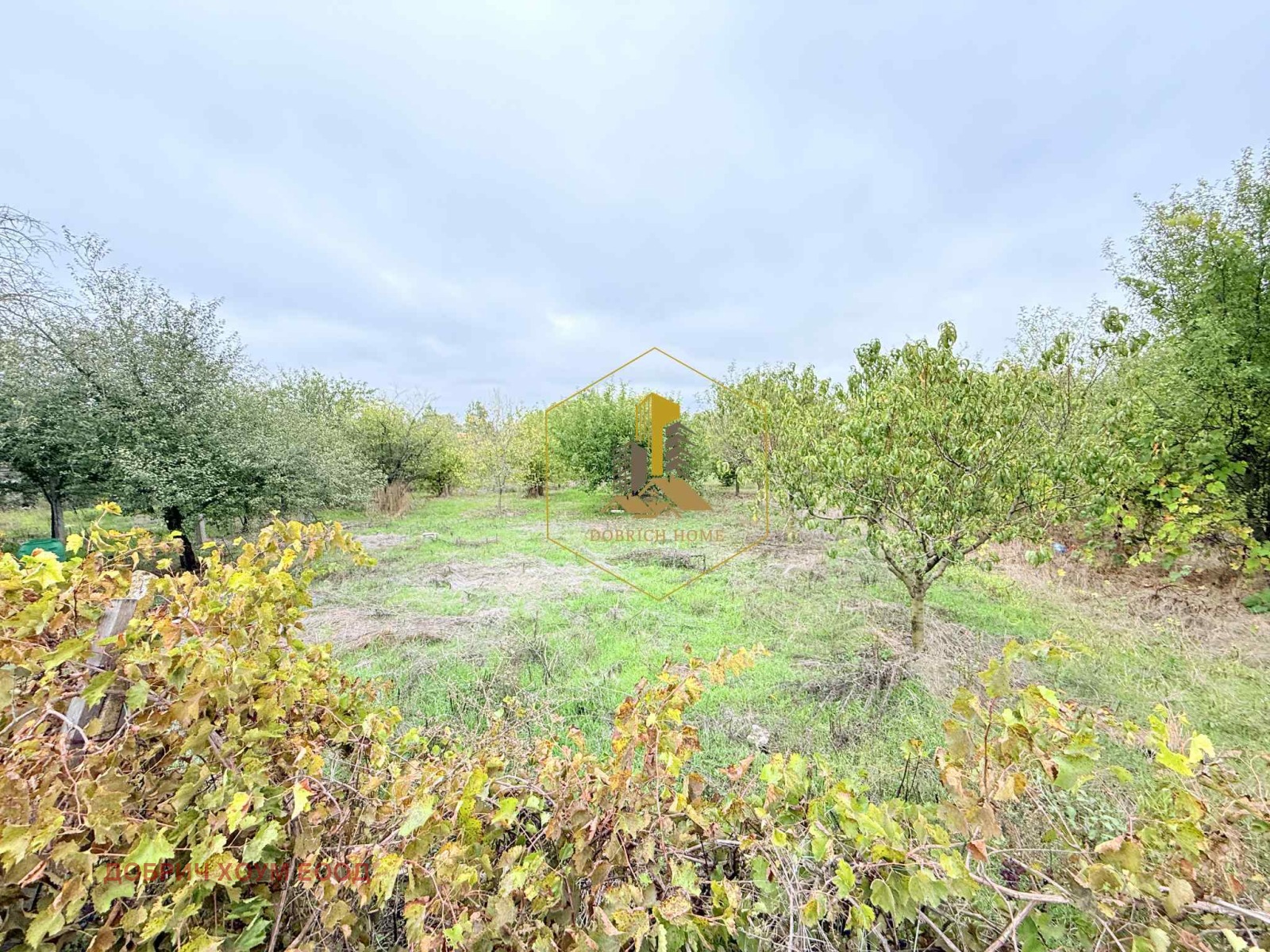 Продава КЪЩА | Imot.bg — изображение 9