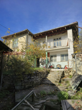 ������ ������� ����