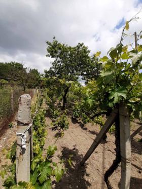 ������� ���� | Imot.bg � ����� ������ 6